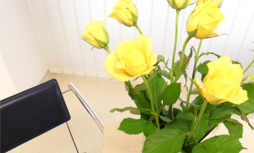 Helle, freundliche Praxisräume